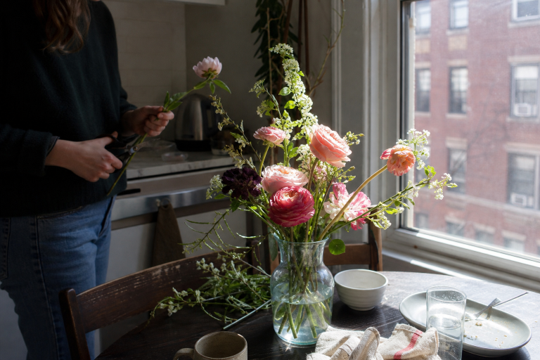 indoor plant watering recommendations